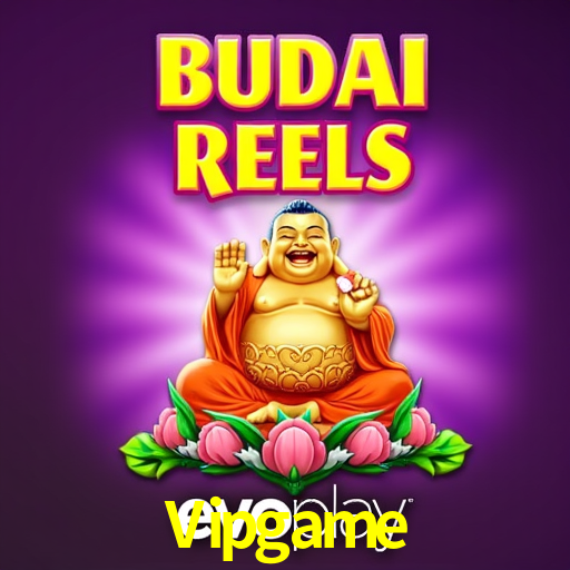 Experimente o Login Seguro Premium no Vipgame